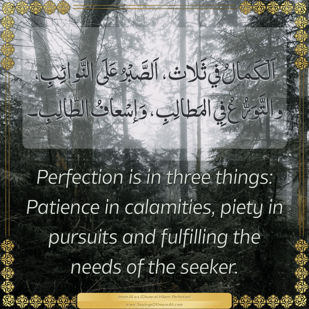 Perfection is in three things: Patience in calamities, piety in pursuits...